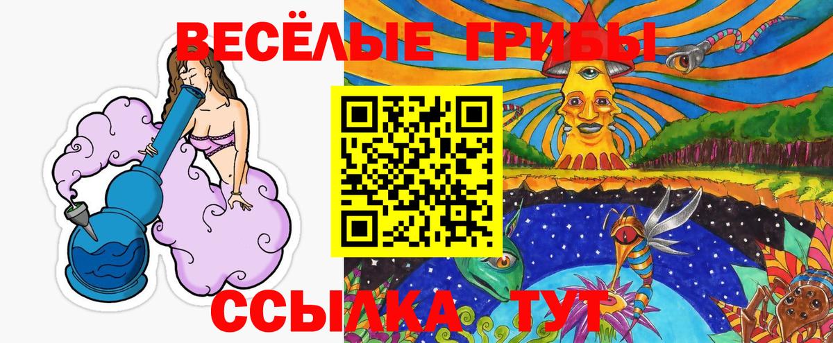 Галлюциногенные грибы Psilocybine cubensis  Вход с VPN  Нальчик 