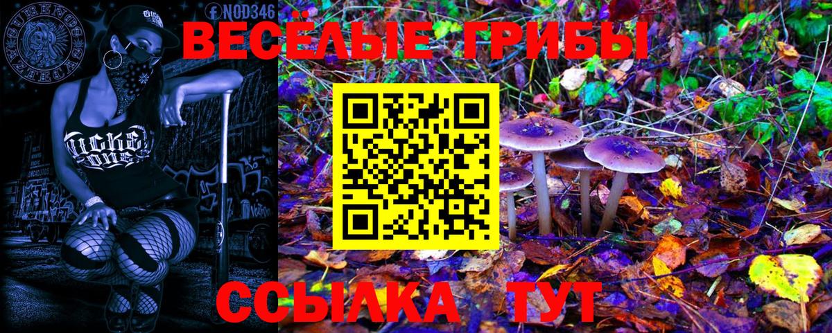 Галлюциногенные грибы мухоморы Нальчик